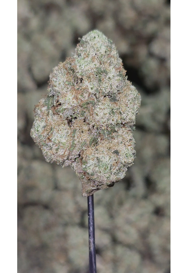 Sour Diesel 33% Thca Bulk