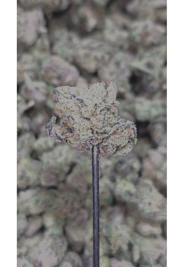 Private Reserve Small 35% Thca Bulk (New Grow)