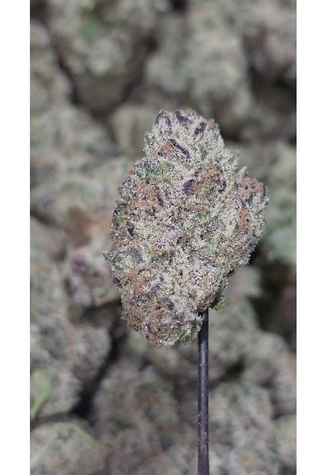 Pushpop 35% Thca BULK