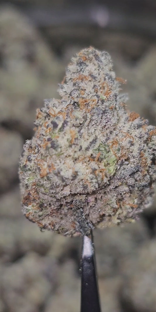 Sweet Tooth 36% Thca