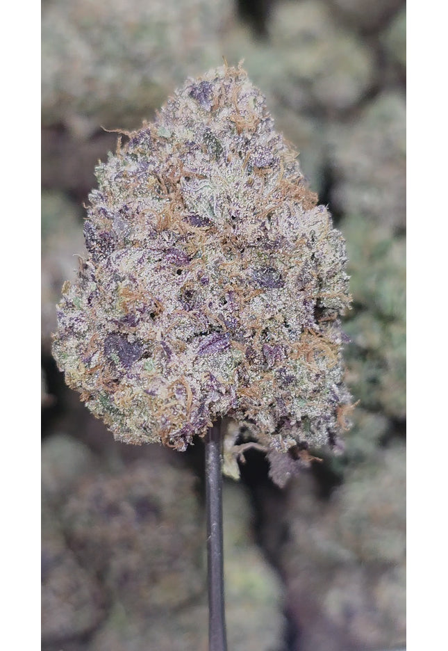 Bubble Up 36% THCA (NEW GROW)