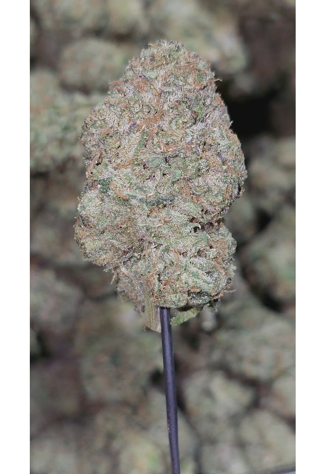 Green Poison 35% THCA