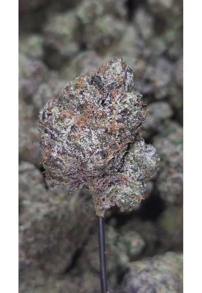 Ice Cream Cake 36% Thca
