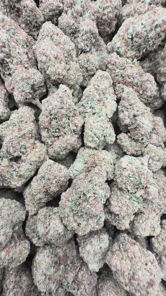 Purple Punch 32% THCa Bulk