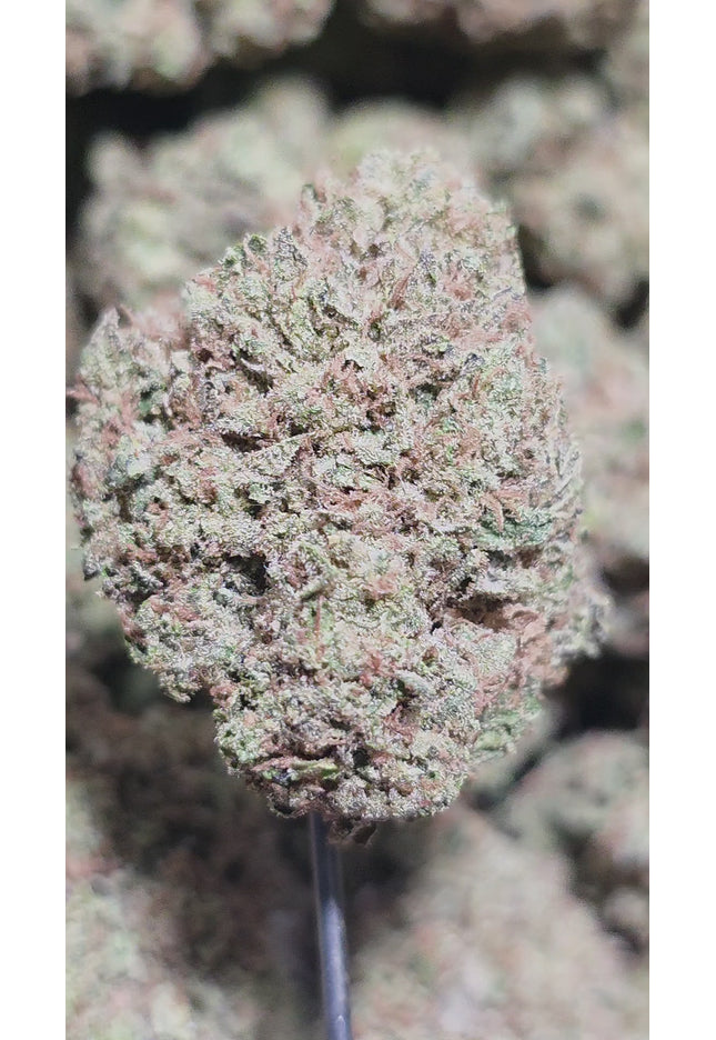 Afghan Kush 34% Thca Bulk Budget