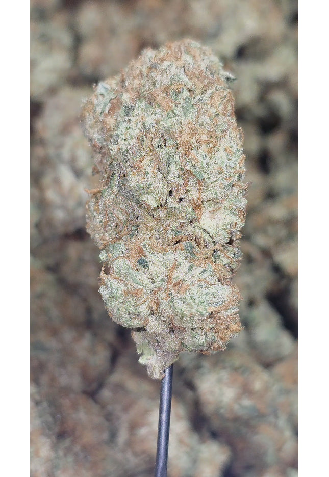 Clementine 33% THCA