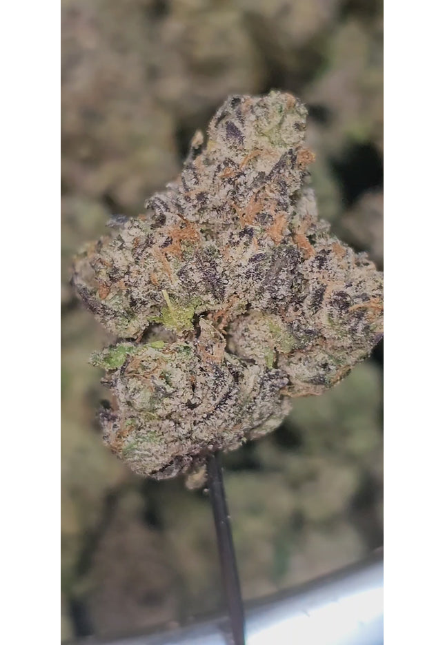 Trainwreck 35% Thca Bulk