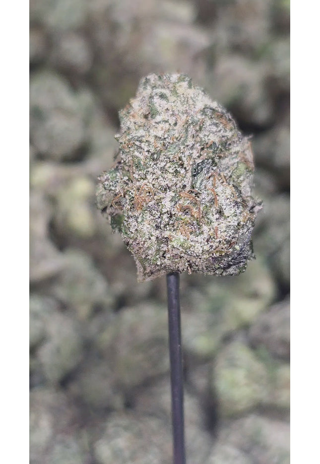 Sugar Plum Med 35% Thca