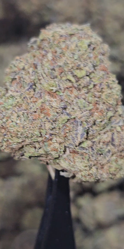 Wedding Cake 33% Thca