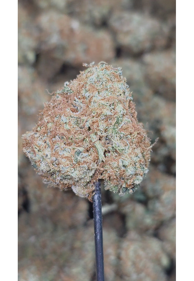 Golden Fire OG 35% Thca Medium