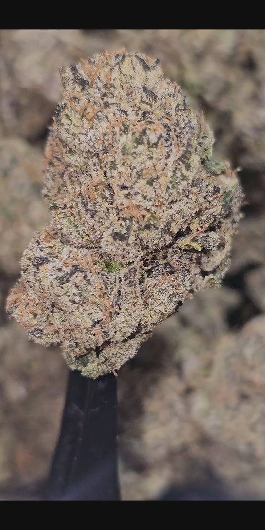 Pure Kush 36%  Thca