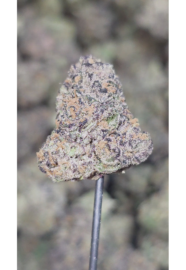 Durban Poison 36% Thca Bulk