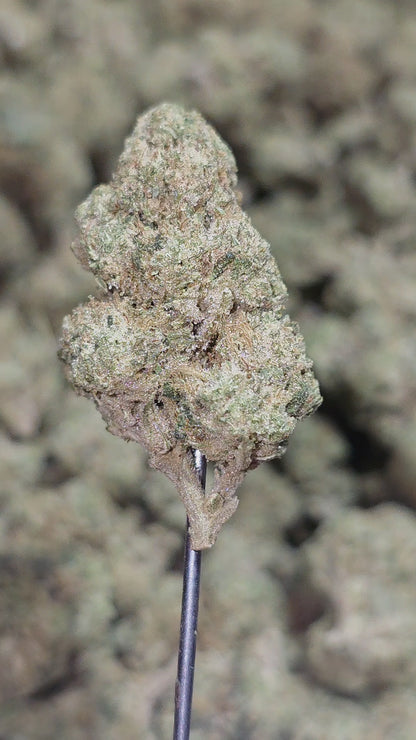 Zkittles 32% Standard/Medium Mix Bulk