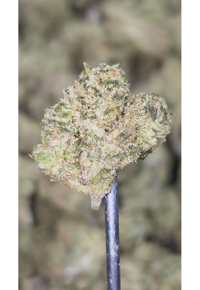 Lemon Zinger Small 33% Thca  Bulk