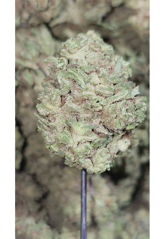 Lemon Zinger 33% Thca Bulk