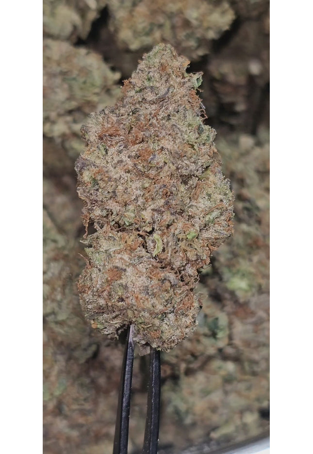 Dirty Sprite Breath 34% Thca Bulk