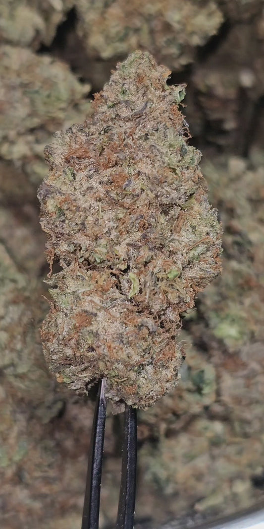 Dirty Sprite Breath 34% Thca Bulk