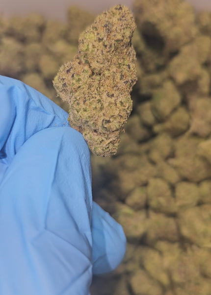 best exotic thca hemp exotic flower buy pounds online fast shipping discount bulk wholesale best price online 