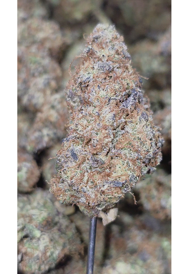 Private Reserve 35% Thca Bulk