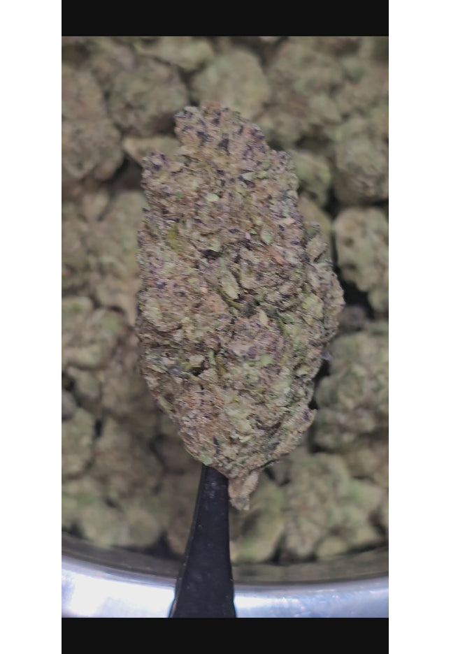 Laughing Buddha 33% THCa