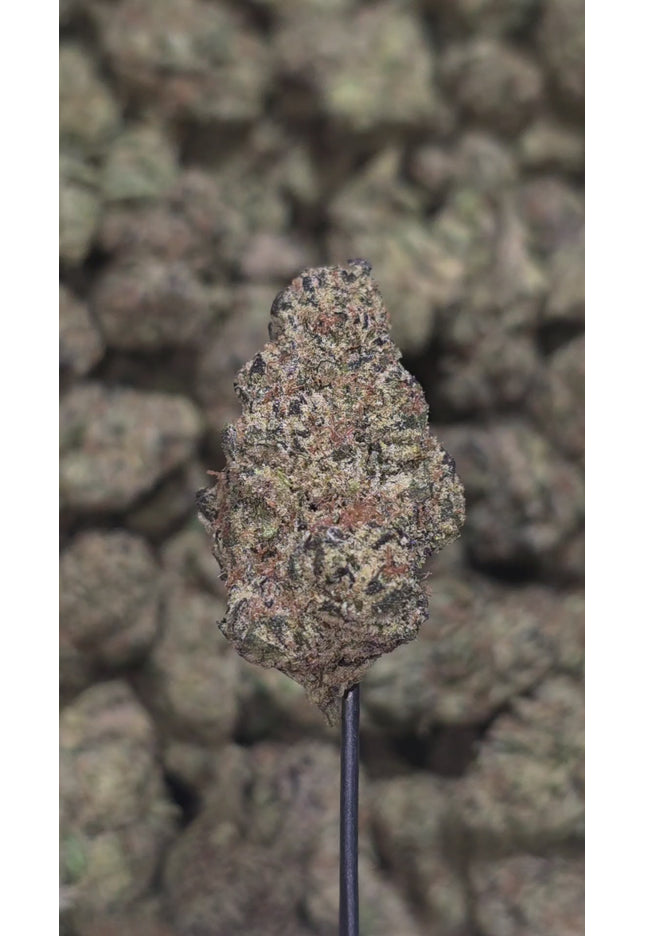 Blue Magoo 33% Thca Bulk