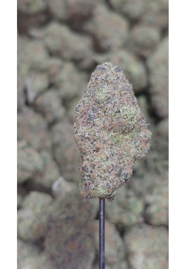 Durban Poison 36%  Thca
