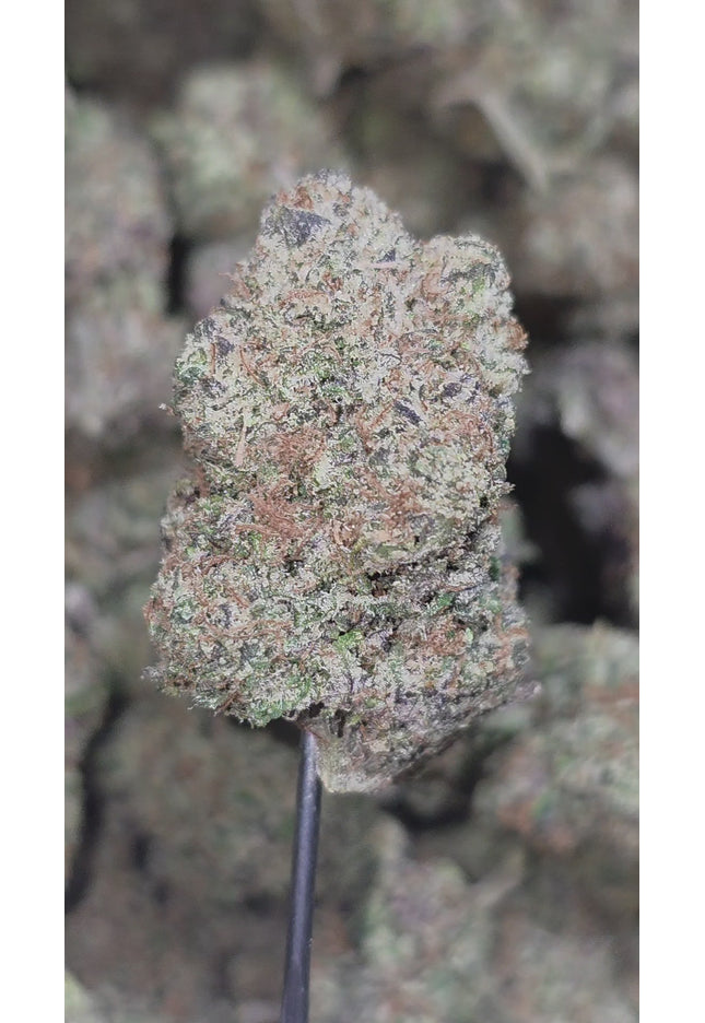 Peach OG 34% Thca (RARE STRAIN)