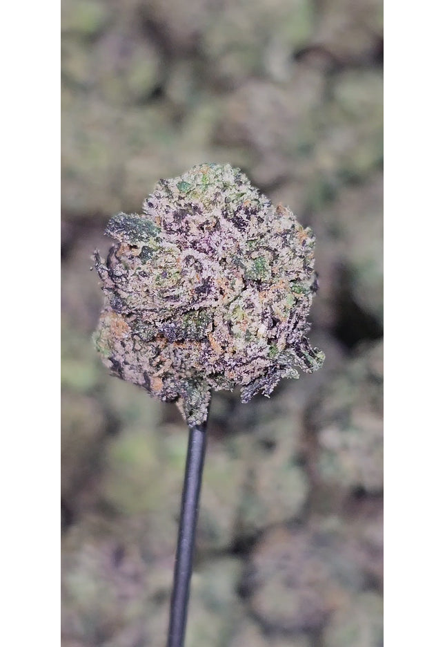 Romulan  35% THCA Mediums Bulk