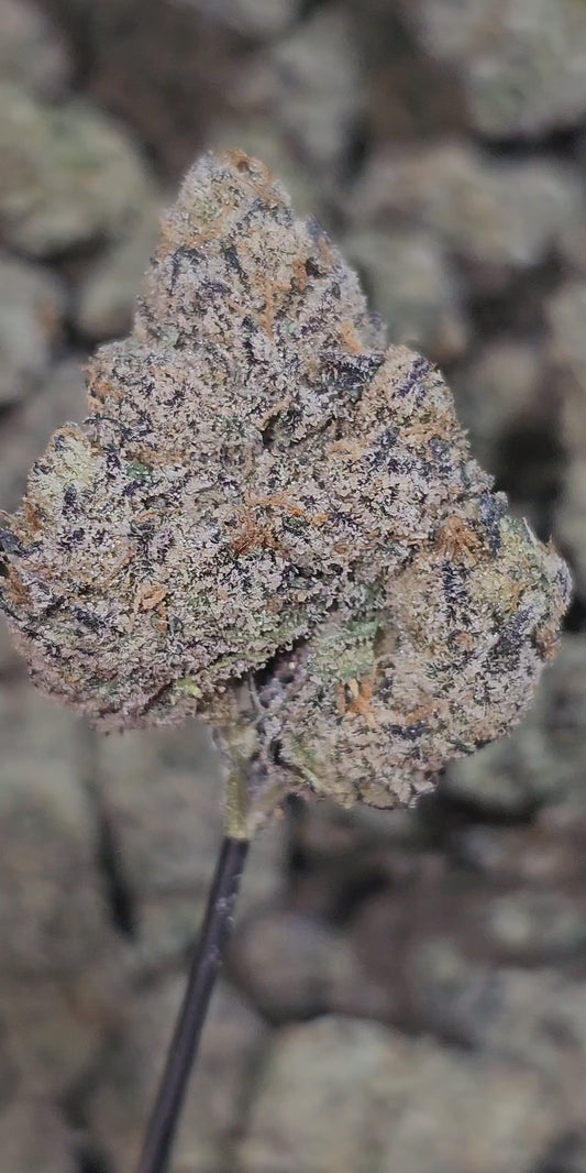 Apples & Oranges 35% Thca (RARE Strain) Bulk