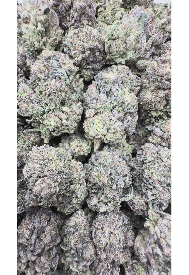 Jet Fuel 32% THCA Bulk