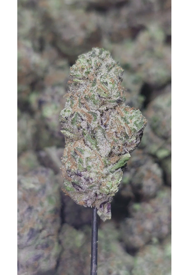 Goblin Kush 35% Thca Bulk