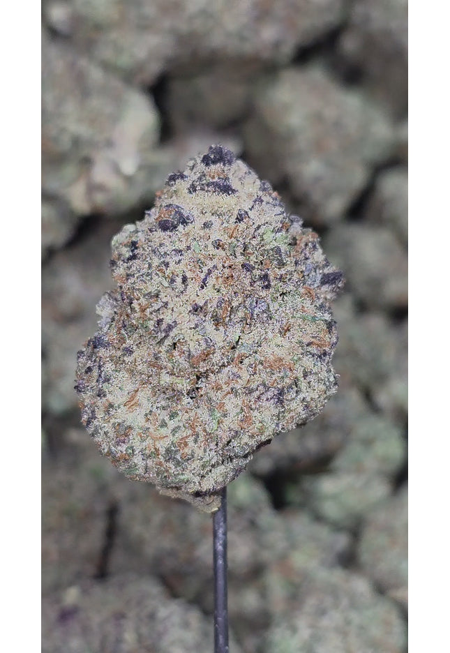 Northern Lights 34% Bulk