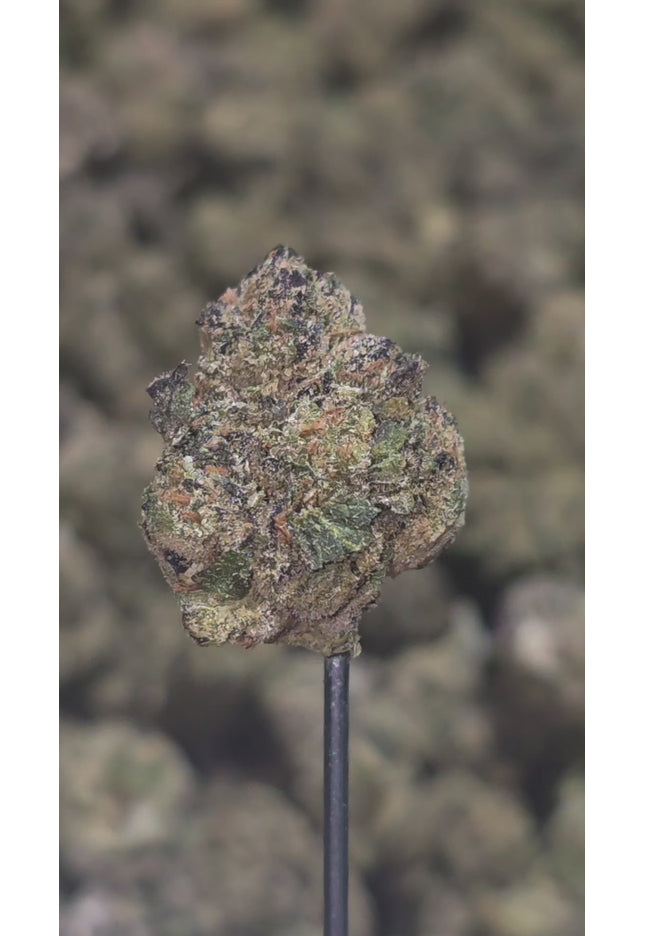 GMO 35% THCA Medium/Small Mix Bulk