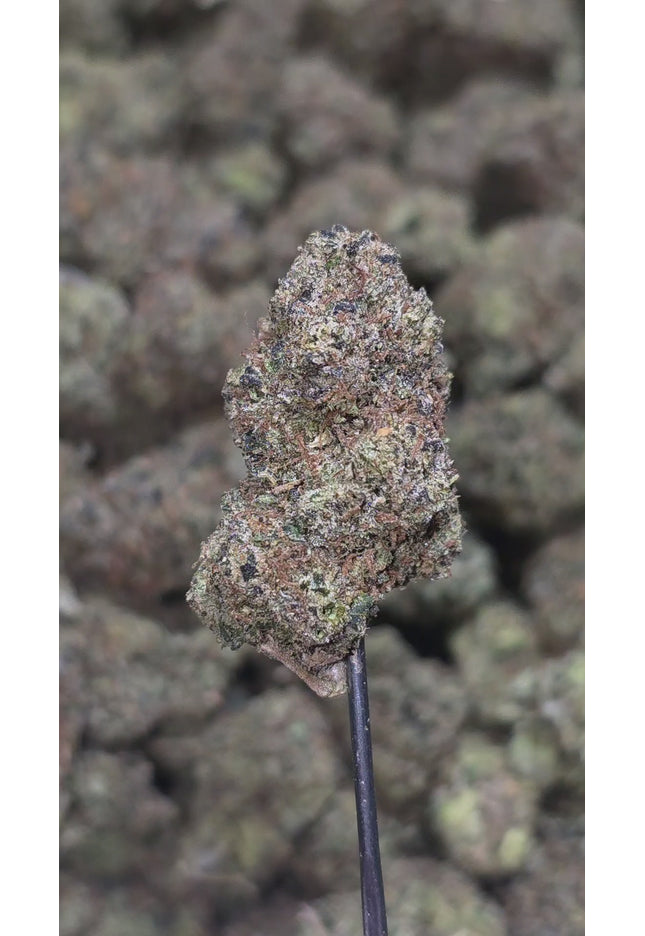 Ice Cream Cake 36% Thca Bulk