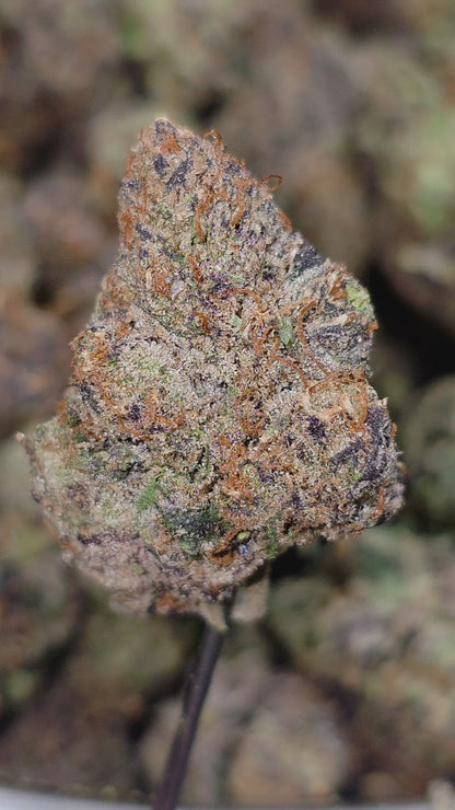 Rainbow Gasoline 35% Thca (RARE STRAIN) New Grow