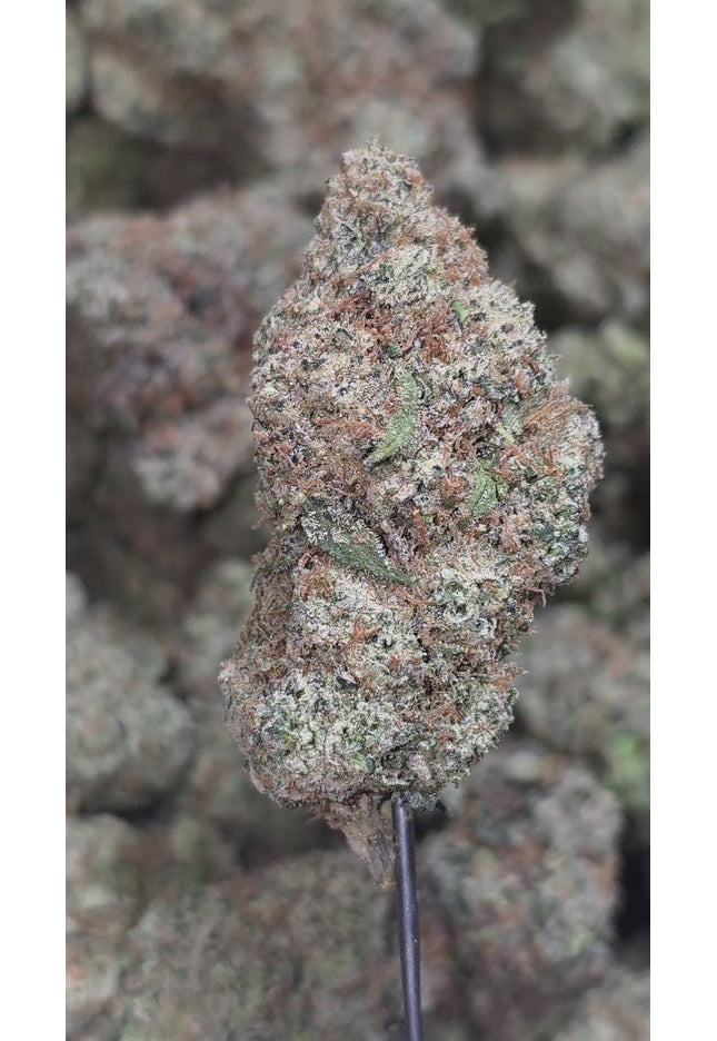 Sour Batch (SBK) 35% Bulk