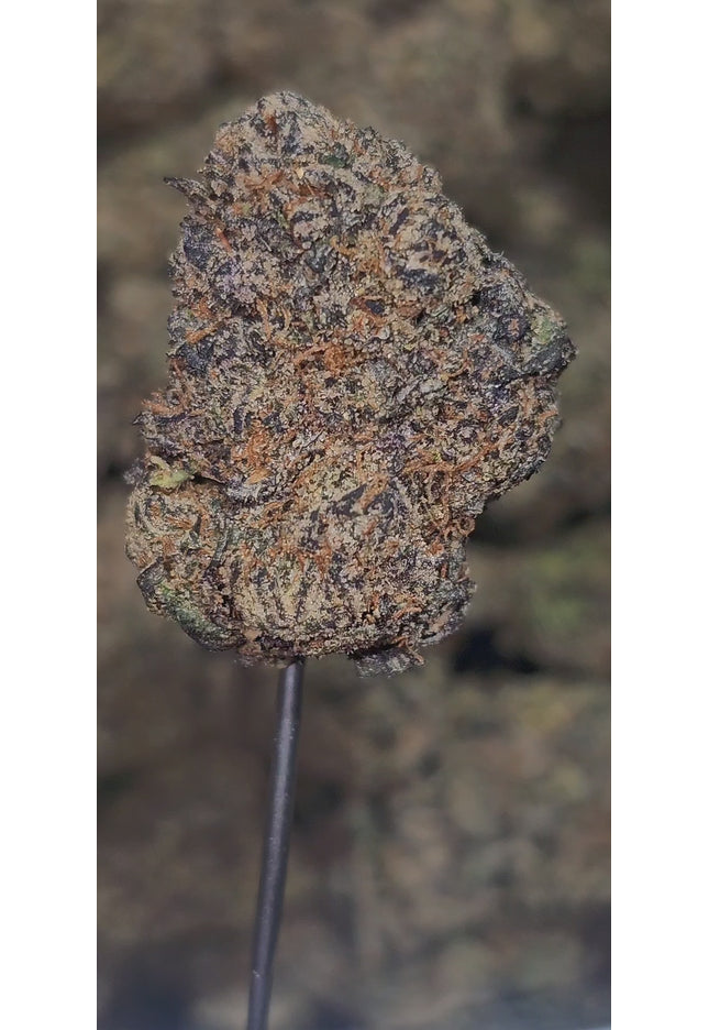 Sugar Puss 35% Thca Bulk