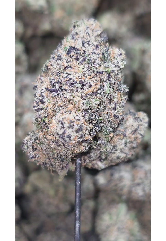 Chocolate Cake 35% Thca Bulk