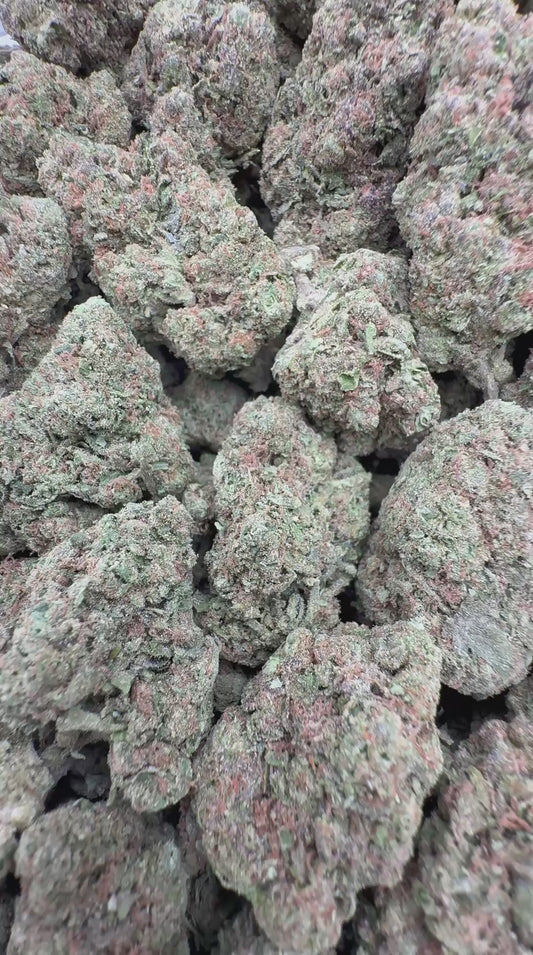 Super Snow Dawg Thca 29% THCA Bulk