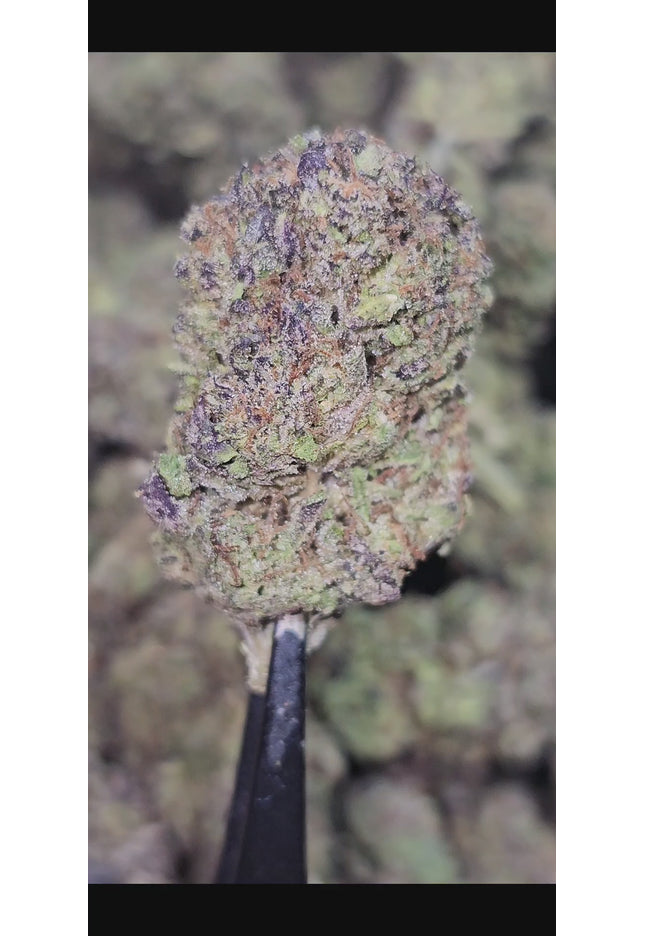 Sour Mango 34%  Thca Bulk