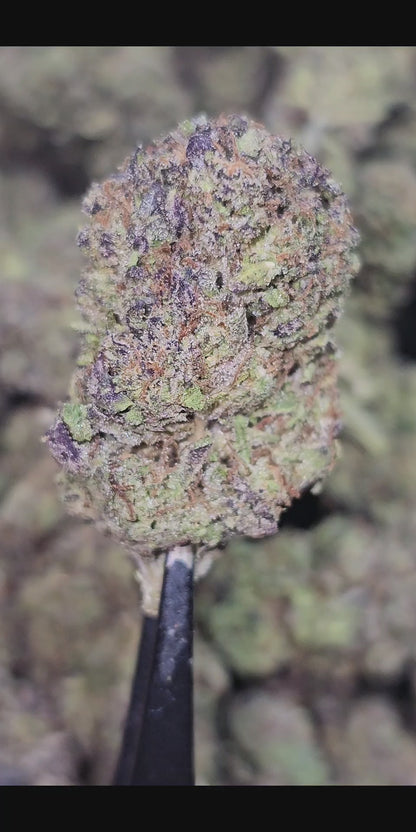 Sour Mango 34%  Thca