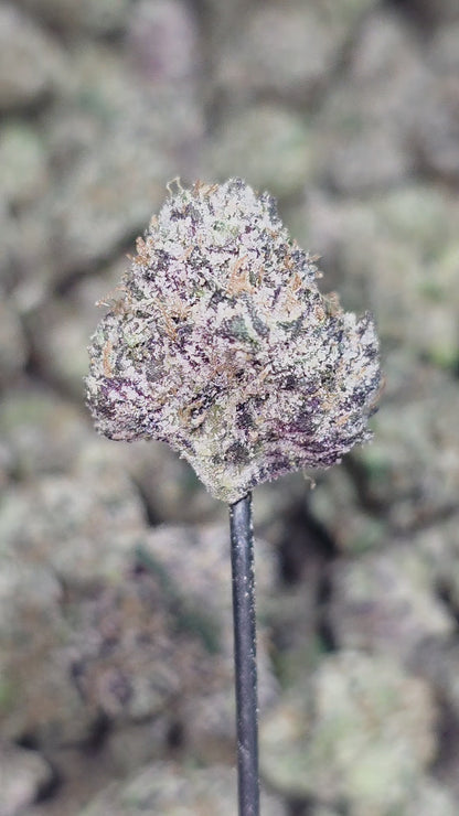 Strawberry Cough Med 35% THCa