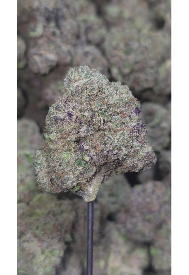 Sweet Pink Grapefruit 35% Thca