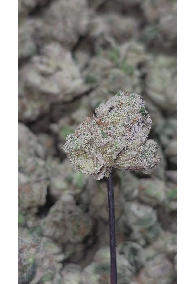 MK Ultra 35 Med/Sm 35% Thca Bulk