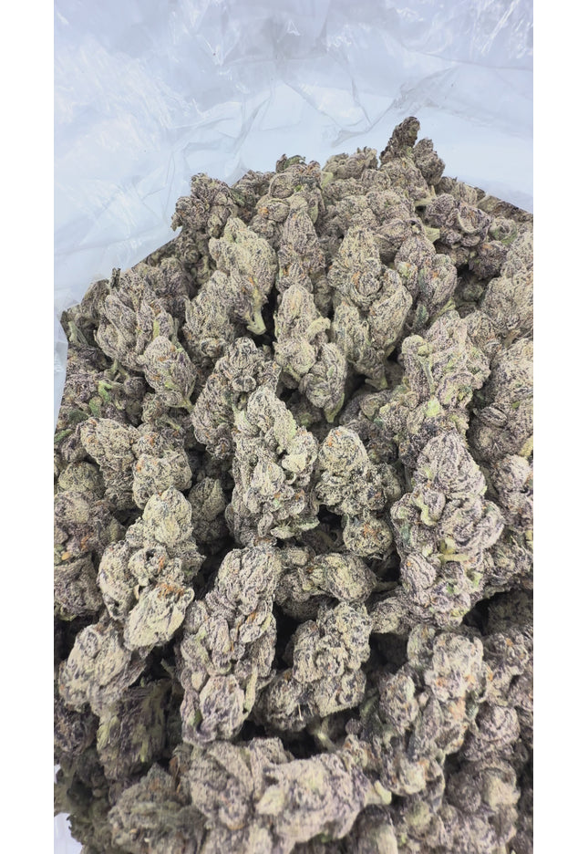 Bacio Gelato 36% Thca Bulk