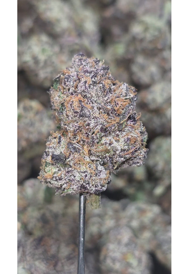 Strawberry Cough 35% THCa