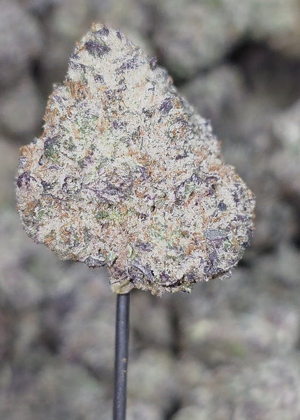 Buy exotic THCa hemp flower pounds online cheap discount