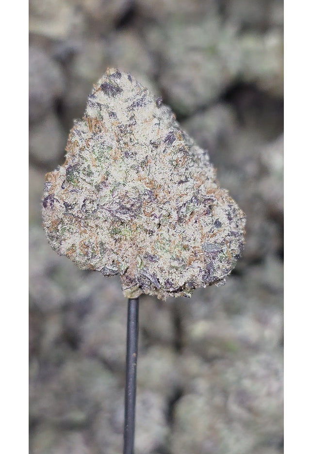Buy exotic THCa hemp flower pounds online cheap discount