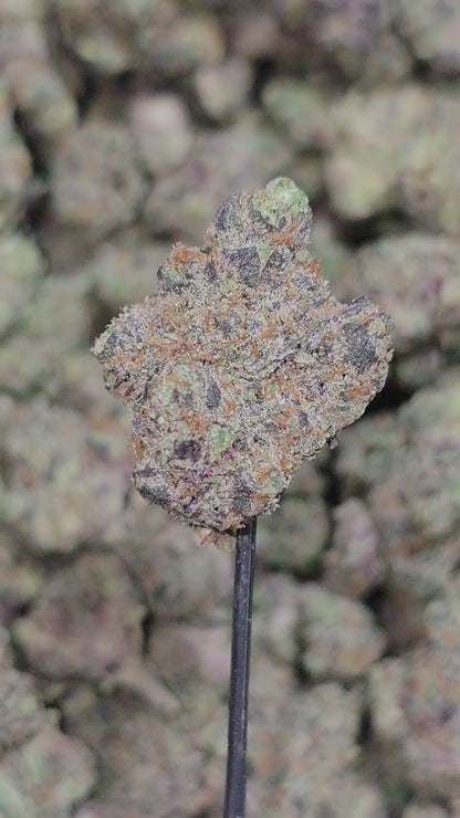 Tropicana 33% Thca Mediums (RARE Strain)