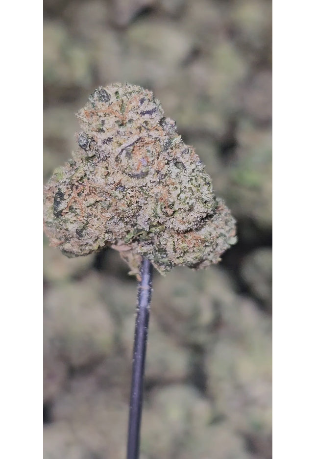 Jet Fuel 35% THCA Med/Small mix Bulk